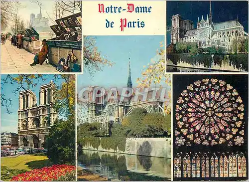 Cartes postales moderne Paris Notre Dame Couleurs et Lumiere de France un des Chefs d'Oeuvre de l'Architecture Gothique