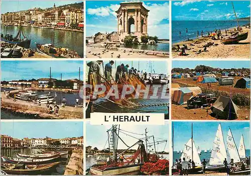 Cartes postales moderne Herault En Promenade autour de l'Etang de Thau Sete Montpellier Frontignan Balaruc Ramassage de