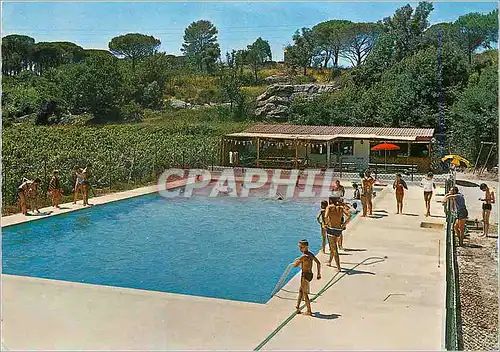 Cartes postales moderne Puget s Argens (Var) Camping Caravaning les Hautes Vernedes la Piscine