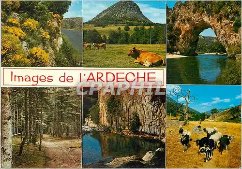 Moderne Karte Images de l'Ardeche les Genets Mont Gerbier de Jonc Pont d'Arc Sous Bois Vaches