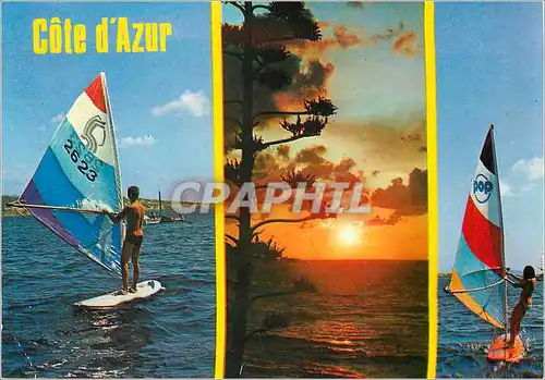 Cartes postales moderne Au Soleil de la Cote d'Azur Joies de la Mer Planche a voile