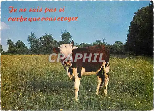 Cartes postales moderne Je ne suis pas si Vache que vous Croyez Vache
