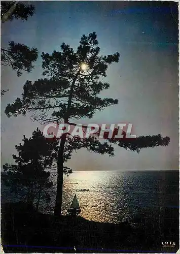 Cartes postales moderne Cote Atlantique la Lune Sortant des Nuages Noirs Semble une Clarte qui vient par Surprise V Hugo