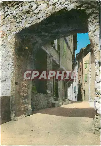 Cartes postales moderne Puget Theniers (A M) Rue du Beal