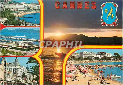 Cartes postales moderne Cannes