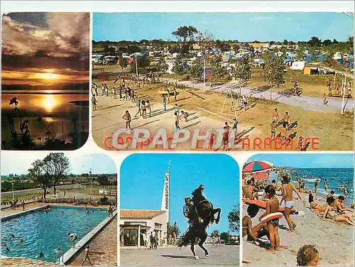 Cartes postales moderne Vias sur Mer Camping la Carabasse le Camping la Piscine l'Entree la Plage