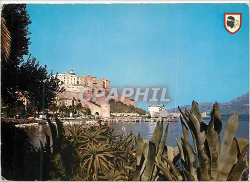 Cartes postales moderne Calvi Ile d'Amour Corse la Citadelle et le Port pris du Jardin Public Bateau