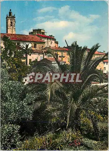 Cartes postales moderne Mougins (A M) Paysages de France alt 260m