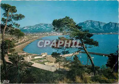 Cartes postales moderne Marseille (b du R) Reflets de Provence Vue Generale sur la Plage et la Pointe Rouge