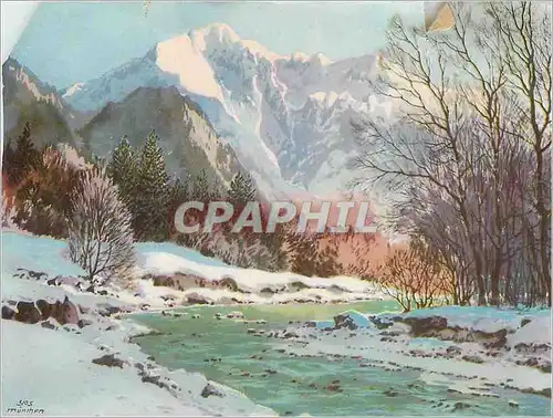 Image Foret Montagne