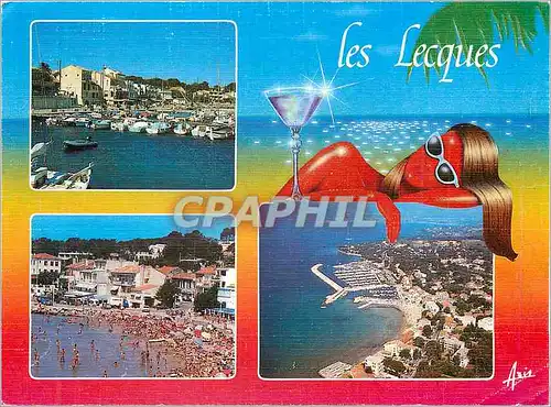 Cartes postales moderne Souvenir de Saint Cyr les Lecques