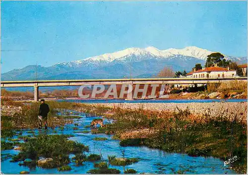 Cartes postales moderne Roussillon Le Vallespir Le Boulou Station du Foie Le Pont sur le Tech et le Canigou (2785 m)