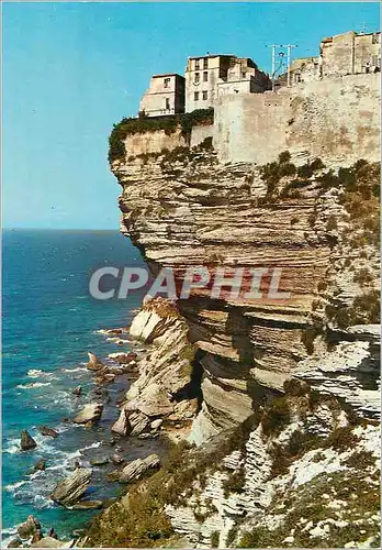 Cartes postales moderne Bonifacio Cosre Ile de Beaute Les Falaises et la Vieille Ville
