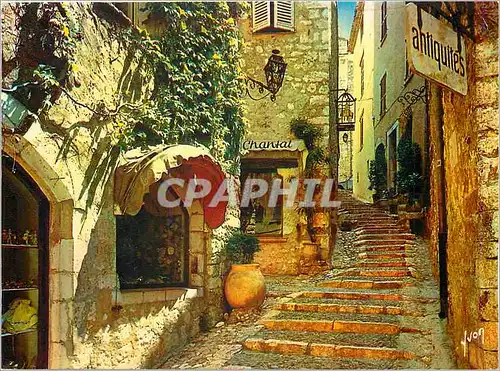 Cartes postales moderne Saint Paul de Vence (A M) La Cote d'Azur Miracle de la Nature Couleurs et Lumiere de France Viei