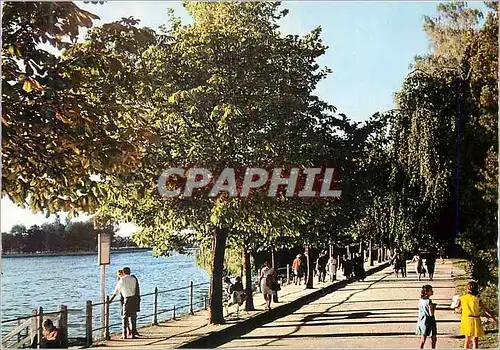 Cartes postales moderne Vichy (Allier) Le Parc Les Bords du Lac d'Allier