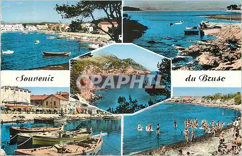 Cartes postales moderne Souvenir de Brusc Cote d'Azur