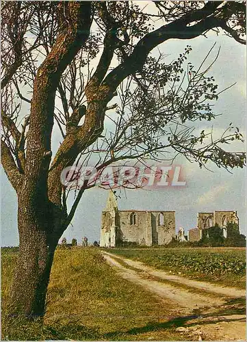 Cartes postales moderne Ile de Re L'Abbaye des Cordeliers