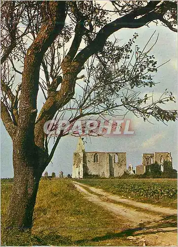 Moderne Karte Ile de Re L'Abbaye des Cordeliers