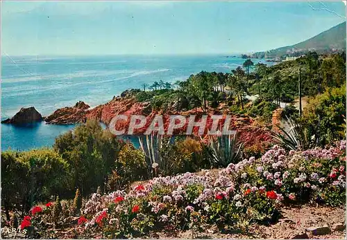 Cartes postales moderne La Cote Mediterraneene Reflets de la Cote d'Azur Rivages FleurisSou