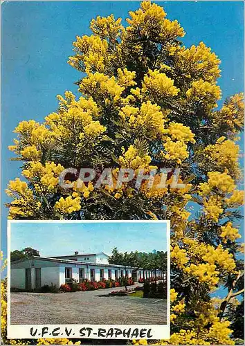 Cartes postales moderne St Raphael Jean Moulin Centre de Vacances