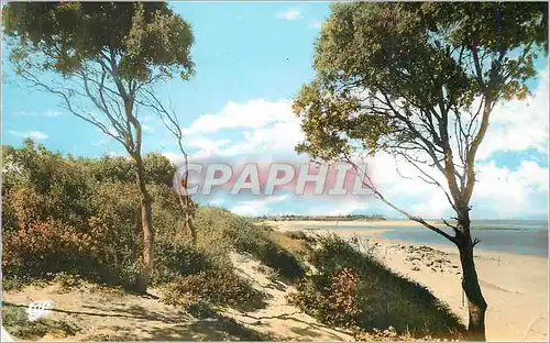 Cartes postales moderne St Georges d'Oleron Plage de Plaisance Foulerot