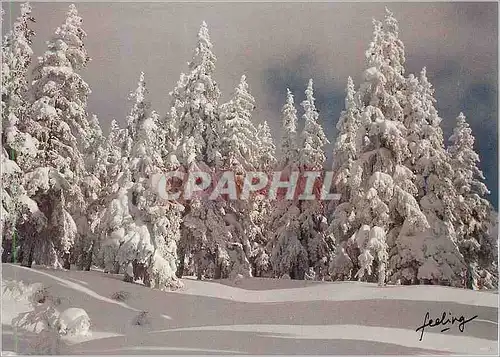 Cartes postales moderne Le Grand Silence Blanc Roger Gaide