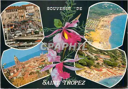 Cartes postales moderne Souvenir de Saint Tropez Cote d'Azur