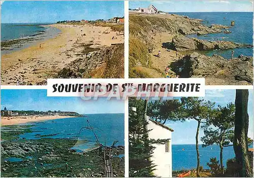 Cartes postales moderne Sainte Marguerite (Loire Atlantique)