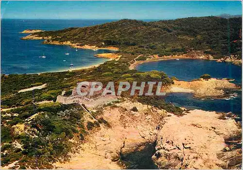 Cartes postales moderne Ile de Porquerolles (Var) Les Iles d'Hyeres Plage du Grand Langoustier dite Plage Blanche La Pla