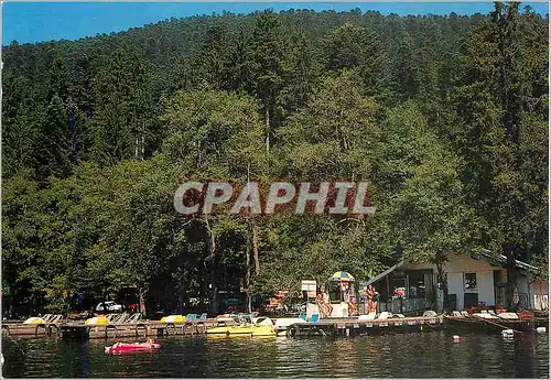 Cartes postales moderne Lac de Longemer (Vosges) France