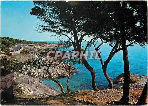 Cartes postales moderne Sausset les Pins La Cote Bleue Calanque du Four a Chaux