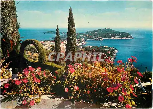 Cartes postales moderne Cap Ferrat la Cote d'Azur