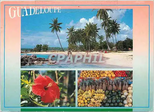 Cartes postales moderne Sous le Soleil des Caraibes