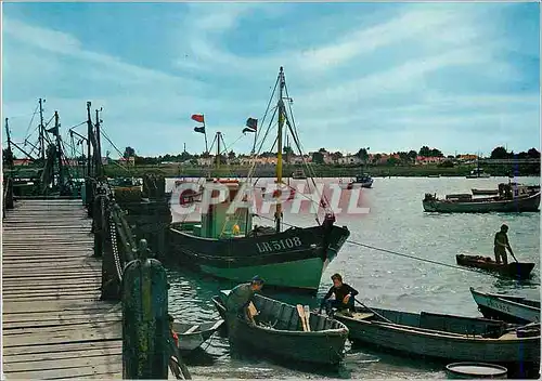 Cartes postales moderne L'Aiguillon sur Mer (Vendee) Contre Jour sur le Port Bateaux de peche