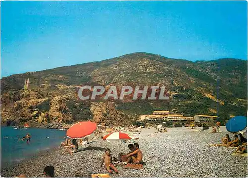 Cartes postales moderne Porto Charme et Couleurs de la Corse La Plage