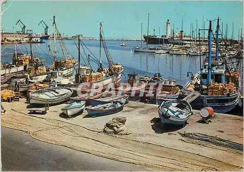 Cartes postales moderne Sete (Herault) Les Quais et ses Bateaux de Peche