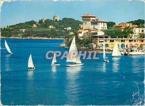 Cartes postales moderne Saint Jean Cap Ferrat (A M) La Cote d'Azur Miracle de la Nature Couleurs et Lumiere de France Re
