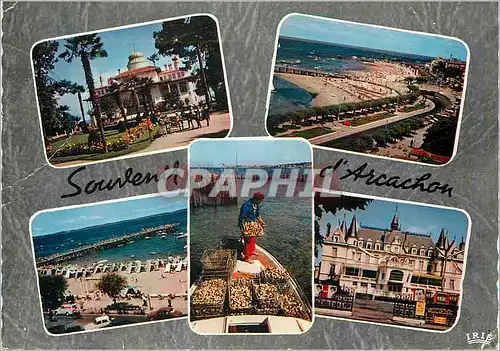 Cartes postales moderne Arcachon (Gironde) Le Casino Mauresque Les Jetees La Plage Scene Osteicole Le Casino de la Plage