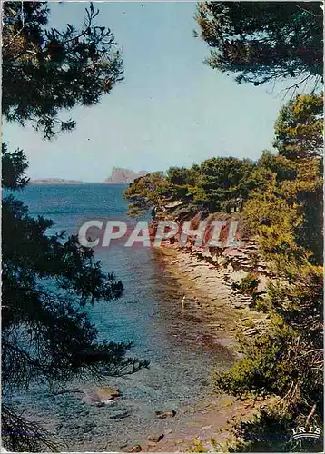 Cartes postales moderne Reflets de la Mediterranee Calanque enchantee festival de Soleil de Rochers et d'eau