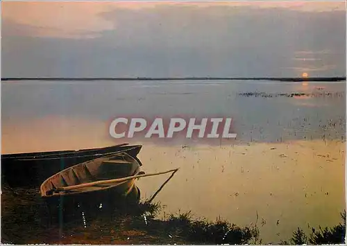 Cartes postales moderne En Camargue Crepuscule sur les Etangs en Carmargue Bateau Barque