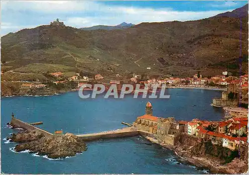 Cartes postales moderne Collioure (Pyrenees Orientales) Vue Generale