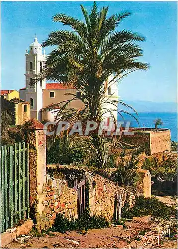Cartes postales moderne Cargese La Corse Oasis de Beaute Couleurs et Lumiere de France L'Eglise Latine