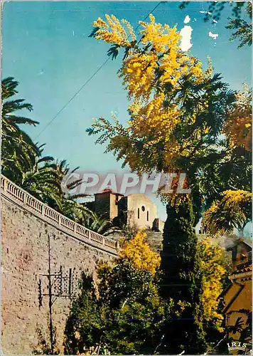Cartes postales moderne Bormes les Mimosas (Var) La Cote d'Azur French Riviera La Chapelle du XVIe Siecle