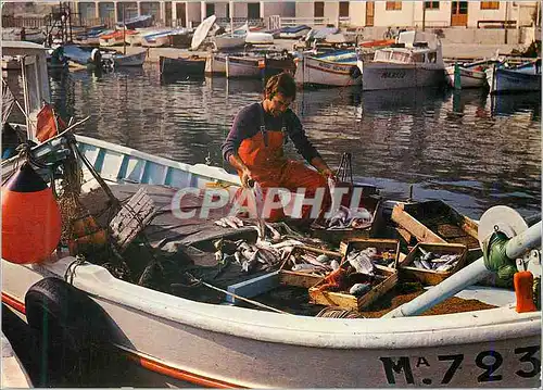Moderne Karte Au Soleil du Midi Retour de Peche Bateau de peche
