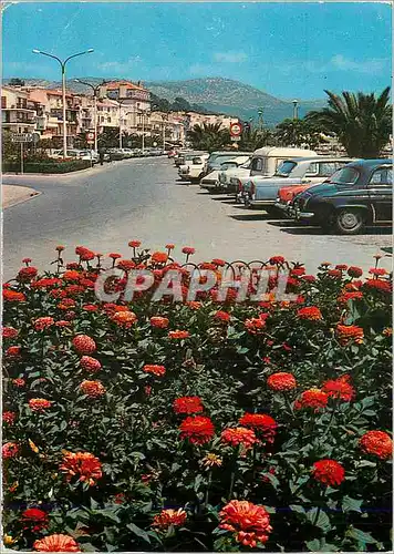 Cartes postales moderne Bandol (Var) La Promenade et les Jardins Fleuris