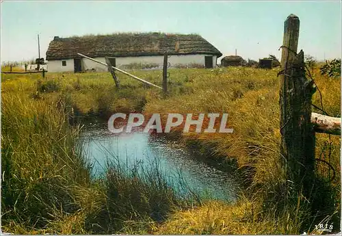 Cartes postales moderne Bocage Vendeen Une Bourrinne