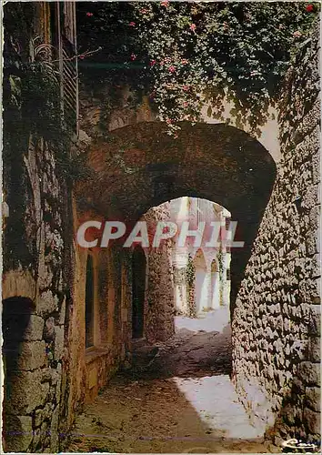 Cartes postales moderne St Paul (Alp Mar) Rue Divine