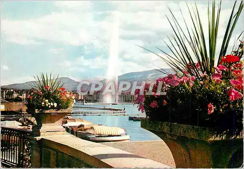 Moderne Karte Geneve Le Jet d'Eau (120 m)