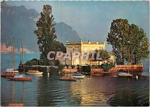 Cartes postales moderne Ile de Salagnon a Montreux