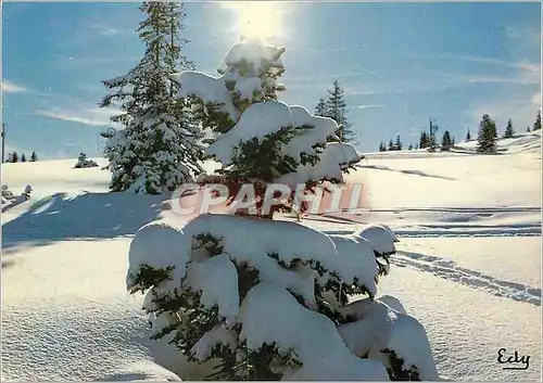 Cartes postales moderne Images de chez nous en Hiver